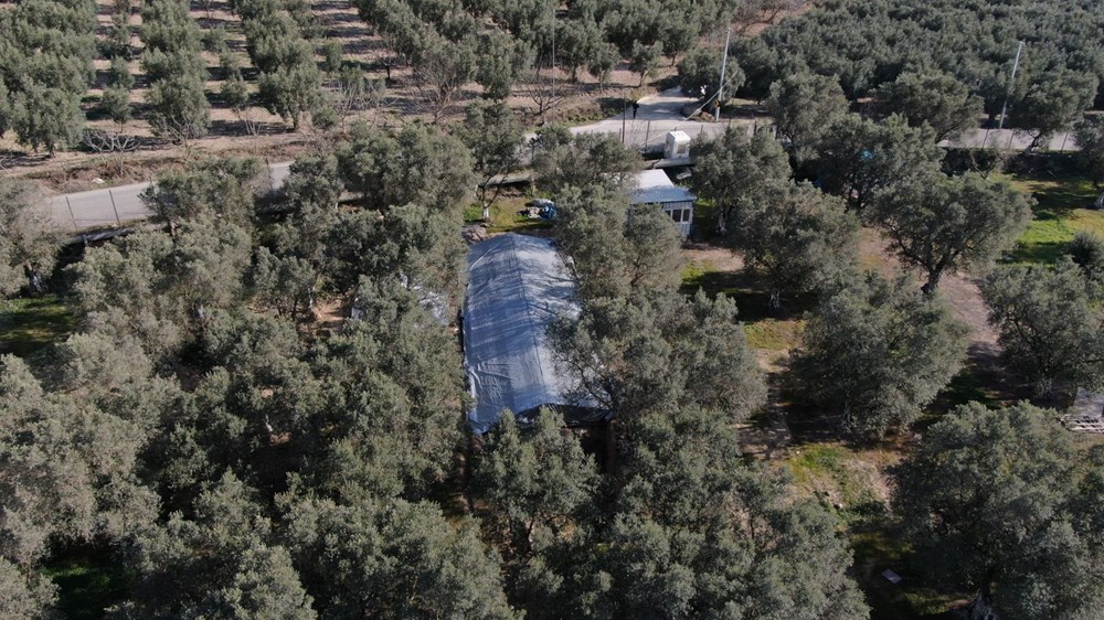 Lahit tarlası için koruma tedbirleri - 7