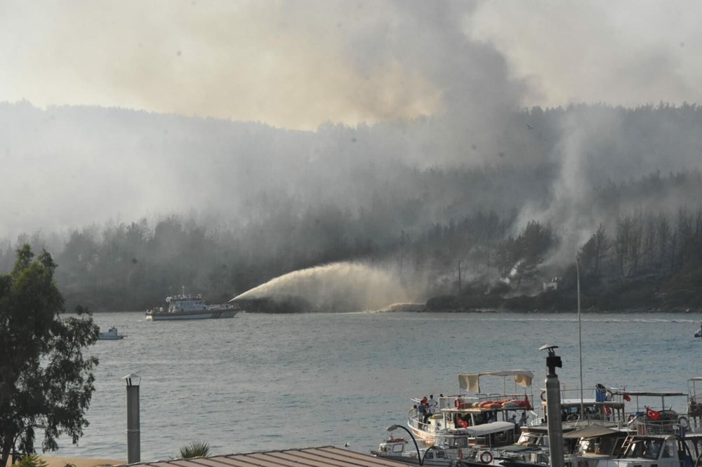 Bodrum'da yanan orman alanları yeşermeye başladı - 5