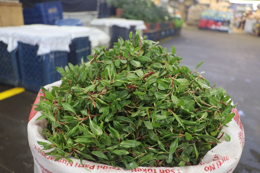 Tabiatta parasız, pazarda kilosu 150 TL: Her sıkıntıya deva bitki büyük ilgi görüyor 72 JsT4gZN7 EmHnHqZYTTmPg