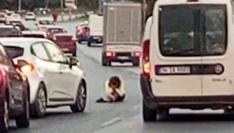 Seyir halindeki araçların arasında oturdu