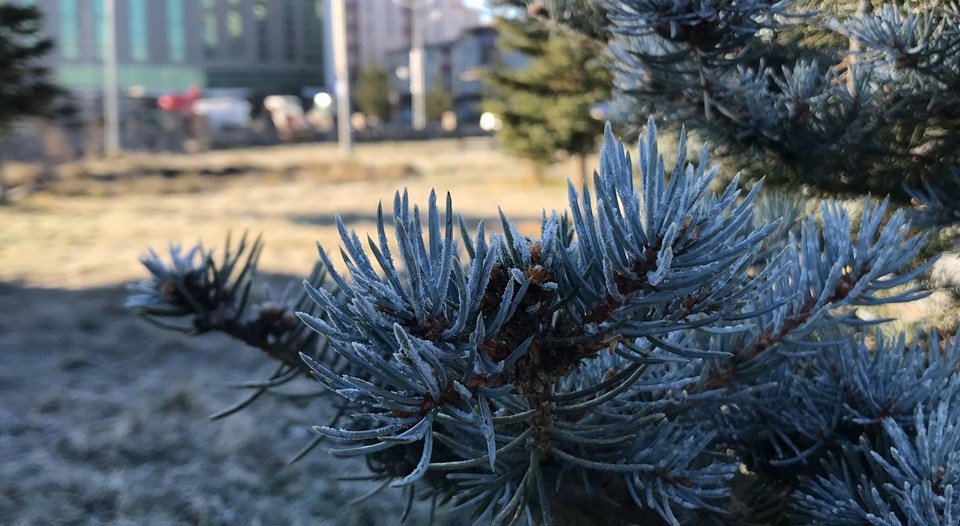 Göle, eksi 13,2'yi gördü: Kura Nehri buz tuttu - 1