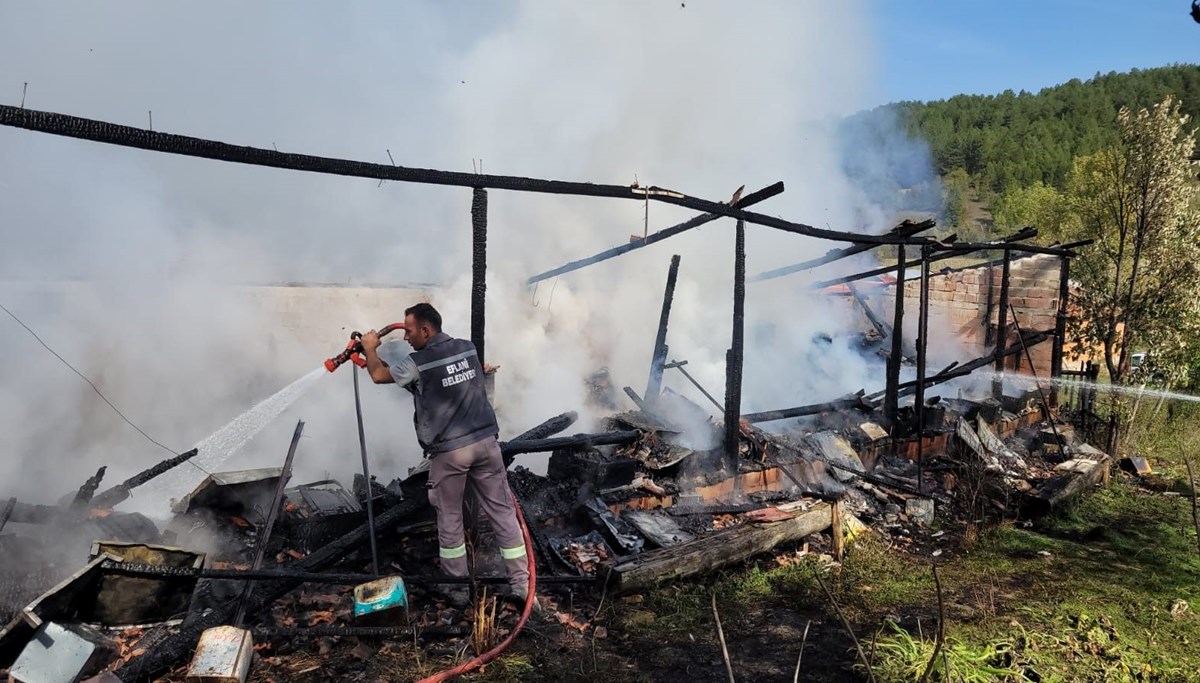 Karabük'te 36 kovan arı yandı