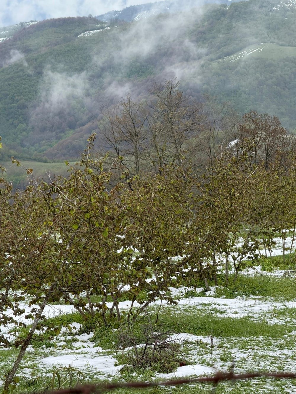 JwrvYYvX2kmg2IB6 WC1lA