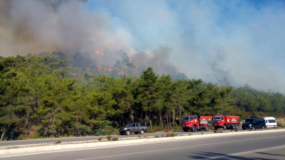 Kemer'de milli park alanında orman yangını | NTV