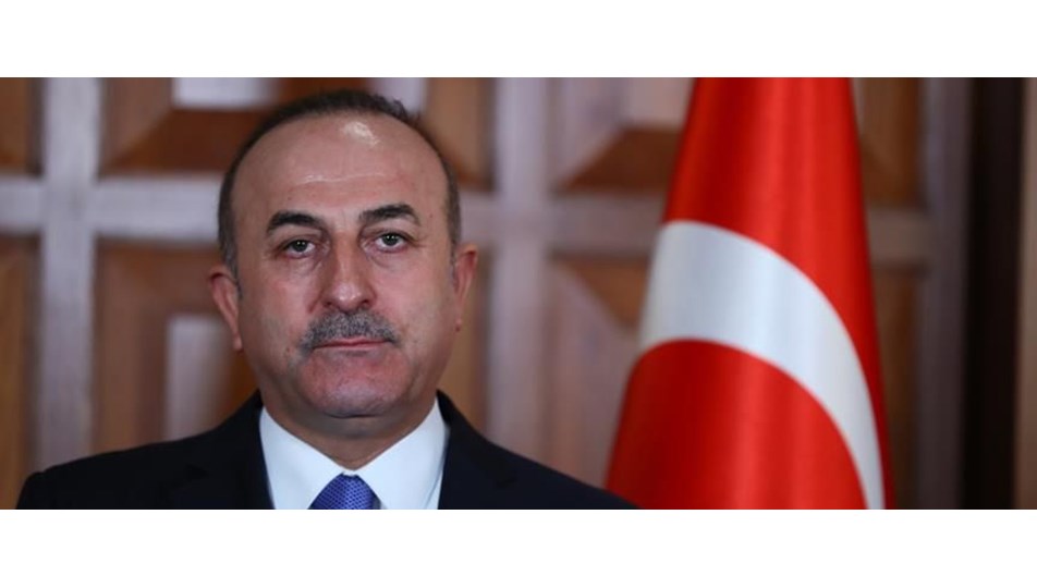 Çavuşoğlu: Zeytin Dalı Harekatı barışa giden yolu açmayı amaçlıyor