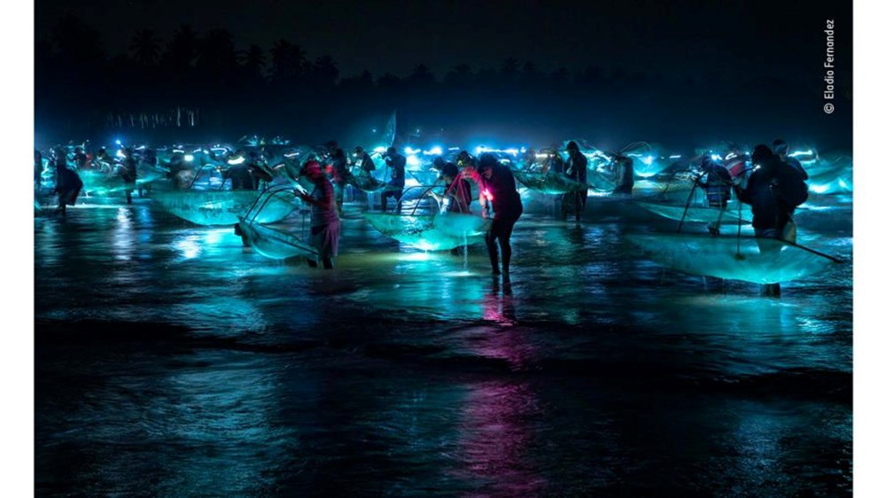 Yılın Vahşi Yaşam Fotoğrafı finalistleri belli oldu (Wildlife Photographer of the Year) - 11