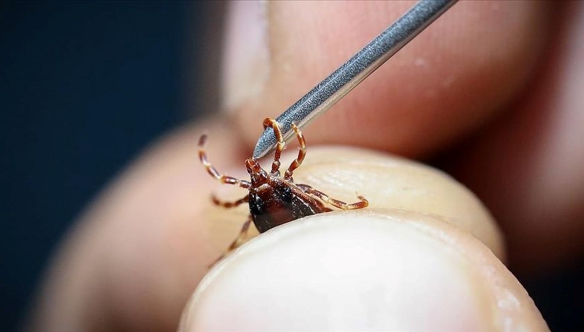 KKKA grip ile karıştırılabilir