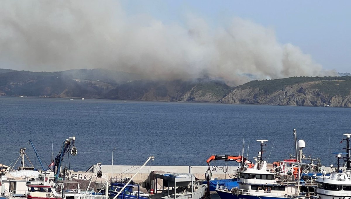 İstanbul Beykoz'da orman yangını