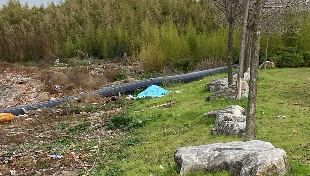 Denizde elleri ve ayakları bağlanmış erkek cesedi bulundu