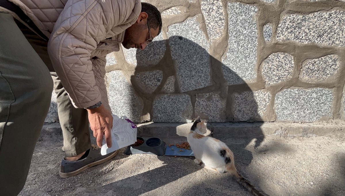 Yürek ısıtan hikaye: Engelli kedinin bakımı için üşenmeden 60 kilometre yol gidip geliyor!