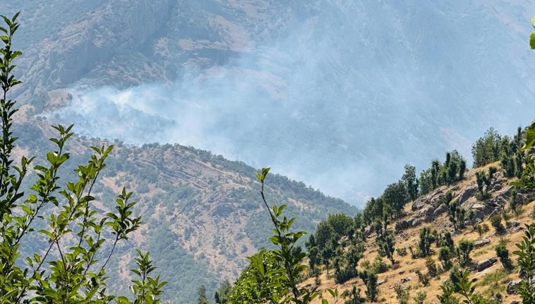 Şırnak'ta orman yangını söndürüldü