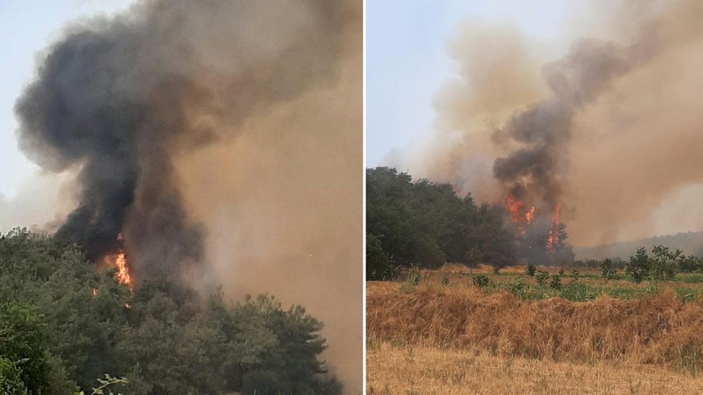 Sakarya-Bilecik orman yangınında son durum: Alevler yeniden büyüdü, köylerde anons yapılıyor - 2