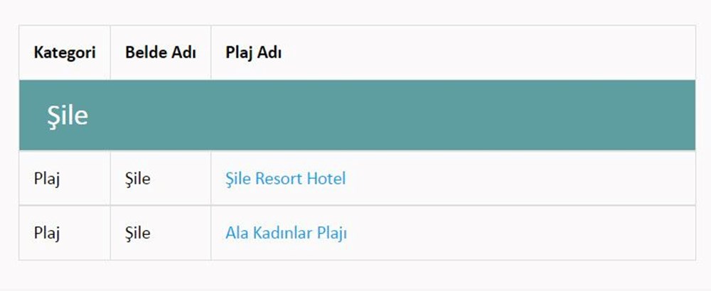 Türkiye'nin mavi bayraklı plajları: 2022 yılı güncel listesi (En iyi sahiller ve plajlar) - 89