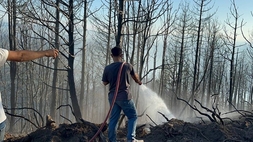 Alevlerle mücadele 4'üncü gününde - 9