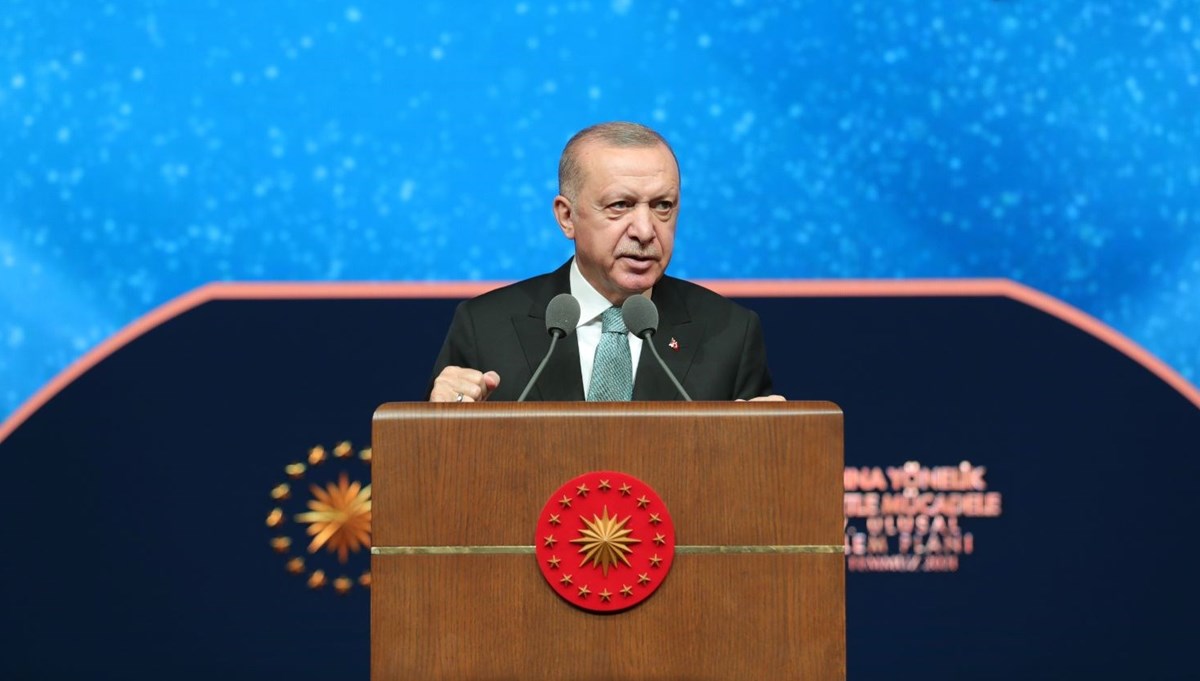 Cumhurbaşkanı Erdoğan'dan İstanbul Sözleşmesi açıklaması