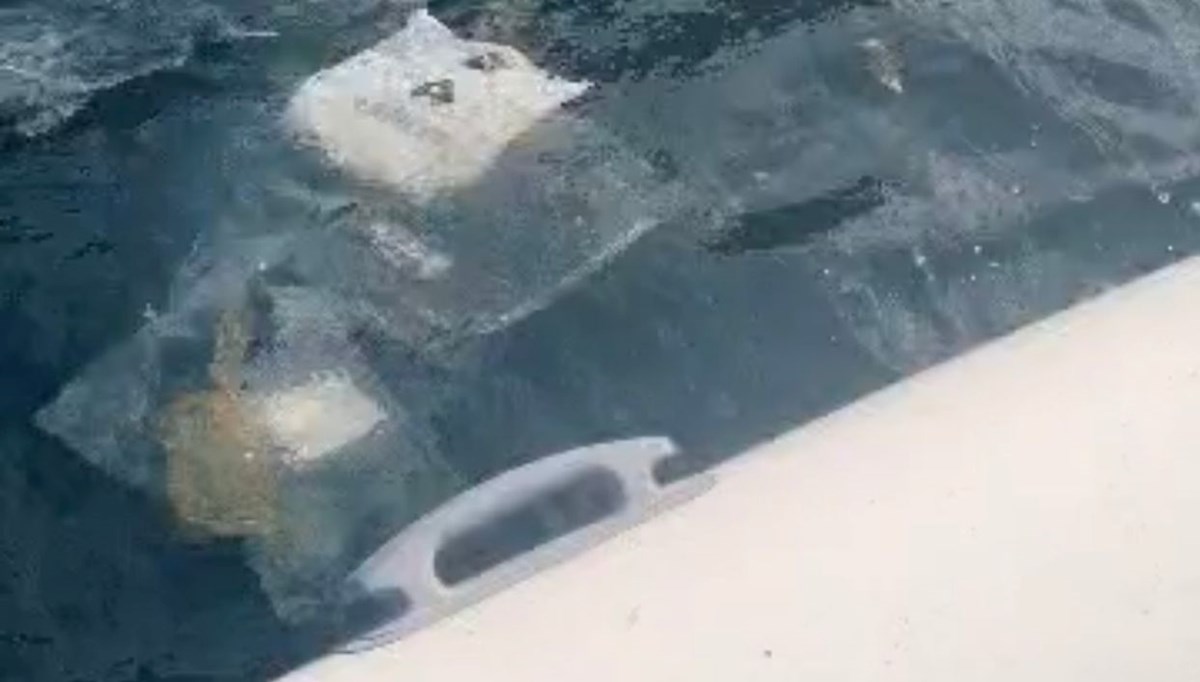 Deniz kirliliğine inceleme