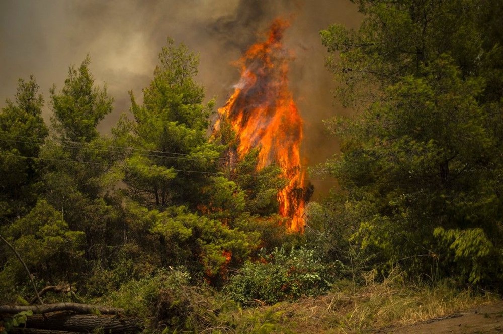 Yunanistan’da yangın felaketinin boyutları ortaya çıktı: 586 yangında 3 kişi öldü, 93 bin 700 hektardan fazla alan yandı - 36