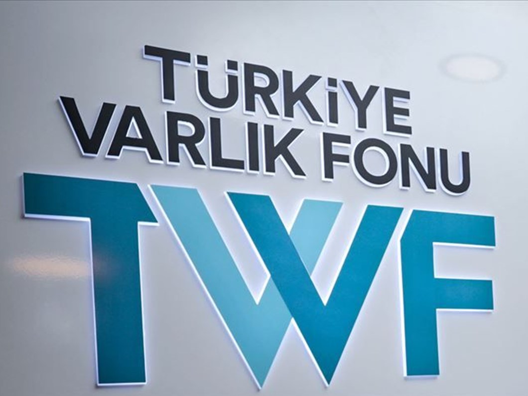 turkiye varlik fonu kamu sigorta