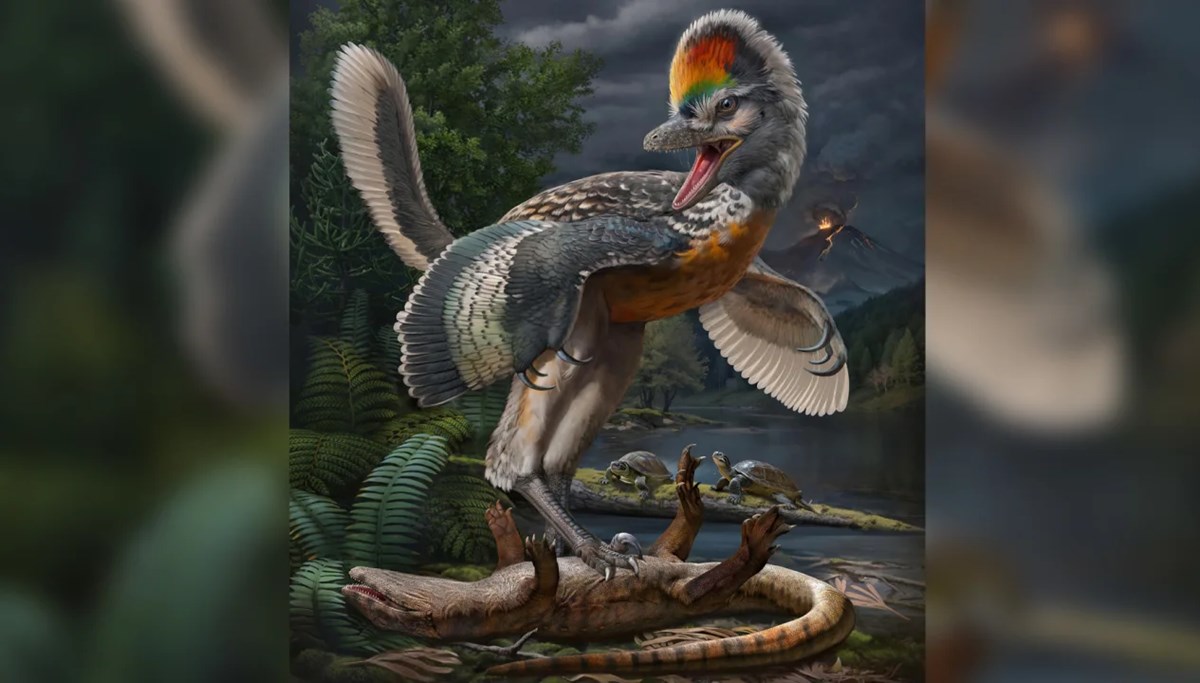Bilim insanlarını şaşırtan keşif: Kuş benzeri dinozor