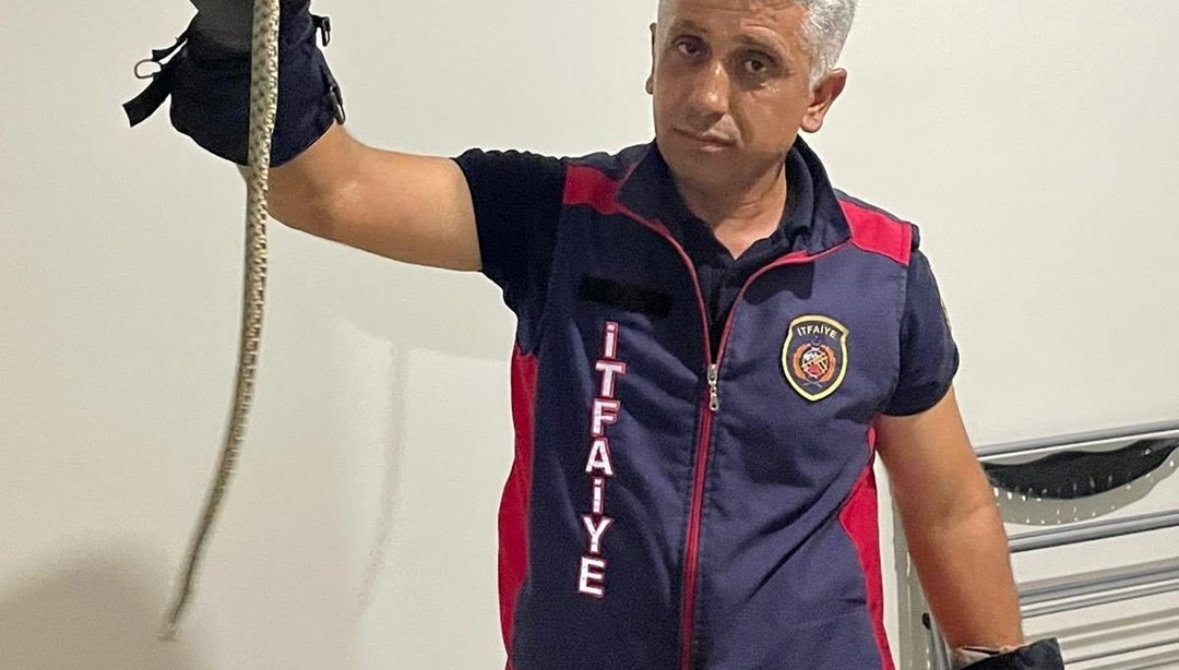 Hatay’da eve giren yılanları itfaiye yakaladı