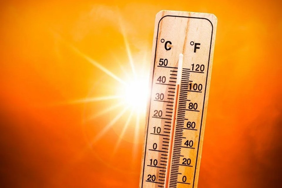 Polonya'da aşırı sıcaklardan 157 kişi hayatını kaybetti - 1