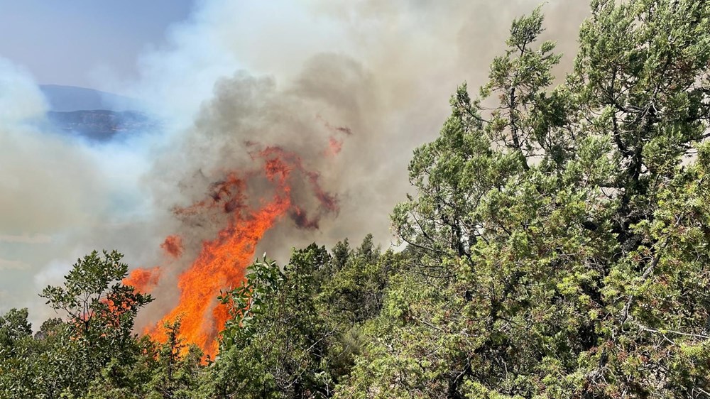 Bolu, Antalya ve Denizli’de orman yangını - 2