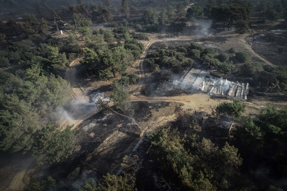 Çanakkale Eceabat'ta 100 hektar orman kül oldu - 1