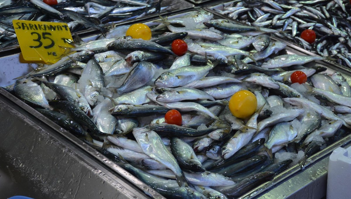 Boy sınırı altında avlanan lüferin nesli tehlikede