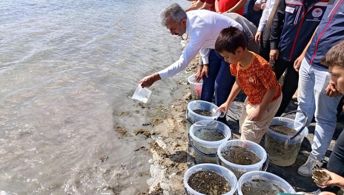 Edirne'de 30 bin yavru sazan gölete bırakıldı