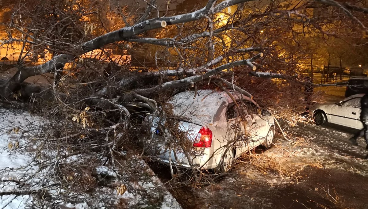 Aksaray’da etkili olan kar yağışı ağaçları devirdi