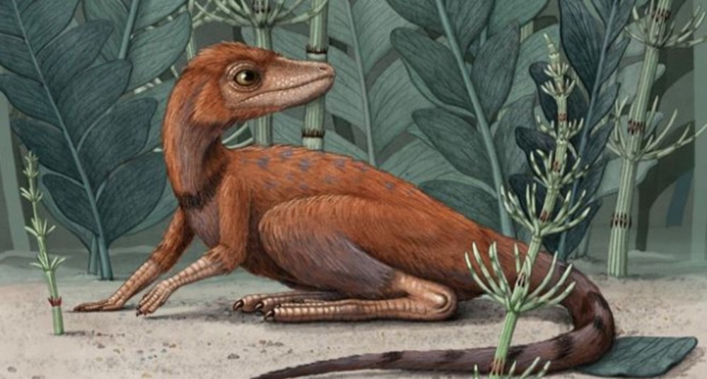 Dinozorların 10 santimetre uzunluğundaki atası bulundu - 1