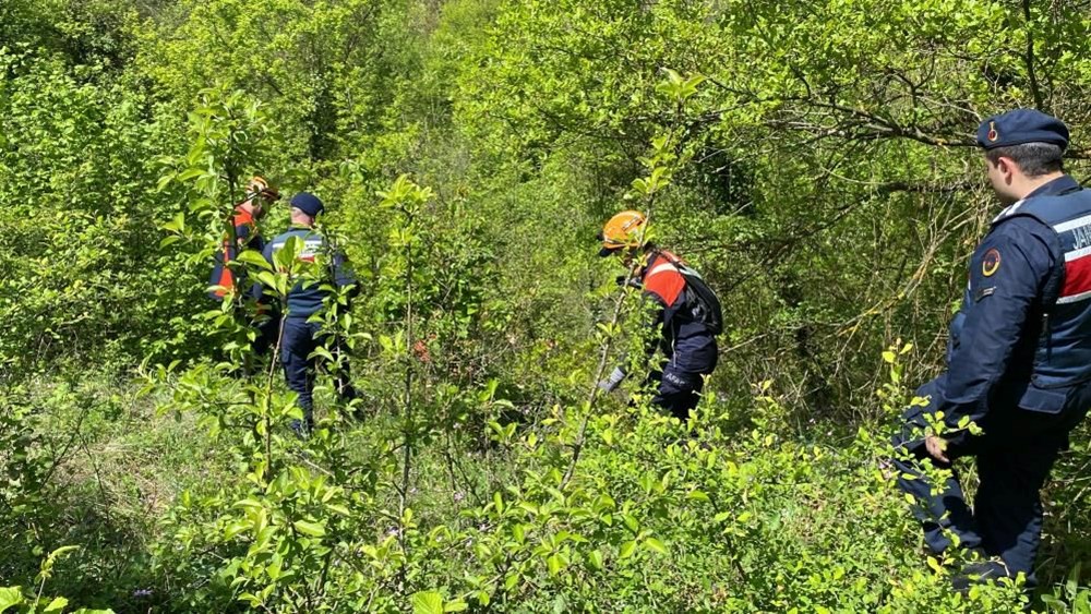 45 gün oldu: Kocaeli'de kaybolan Emirhan için havadan ve karadan arama 73 KFhDlNUEk0CZLeNK7wObuA