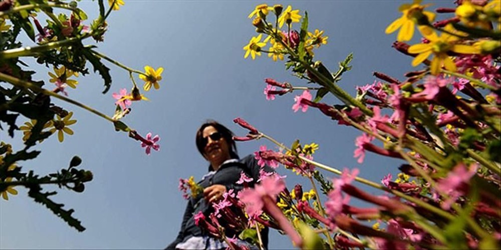 Kış ortasında bahar havası: Hafta sonu sıcaklık yükseliyor - 2