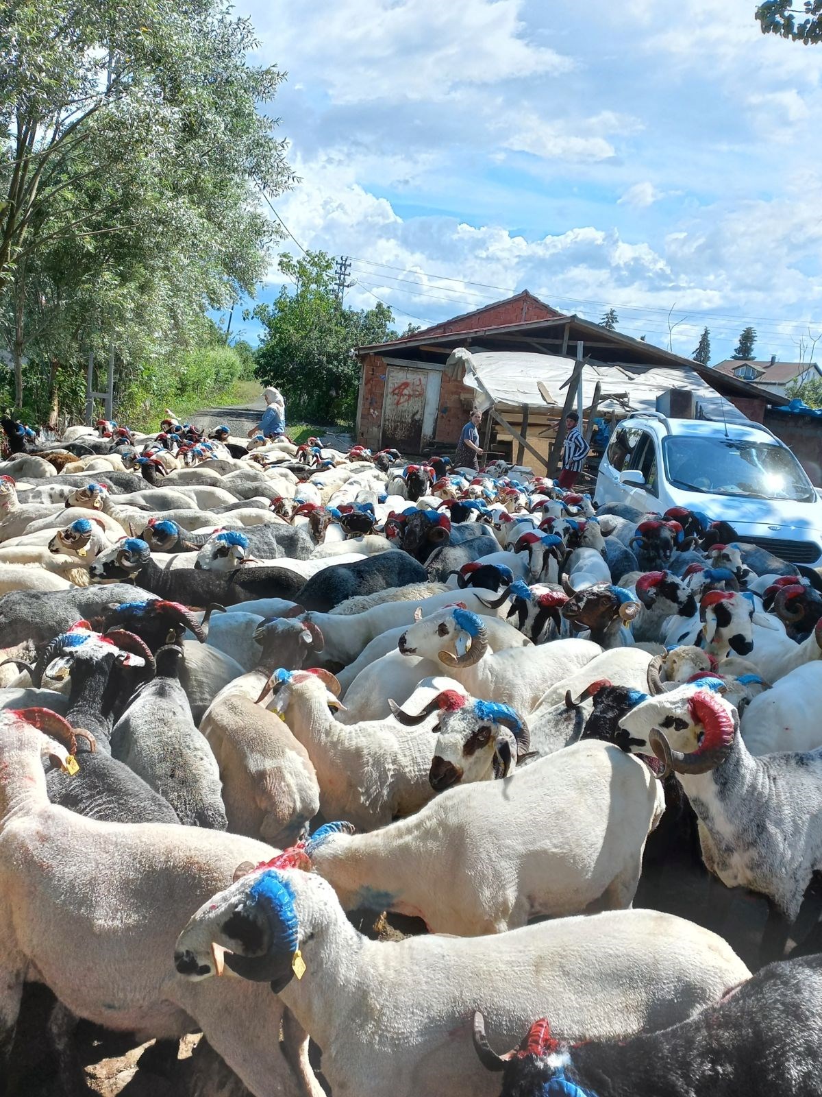 KG6kp3GiEEm4DfgZe0KJEg.jpg