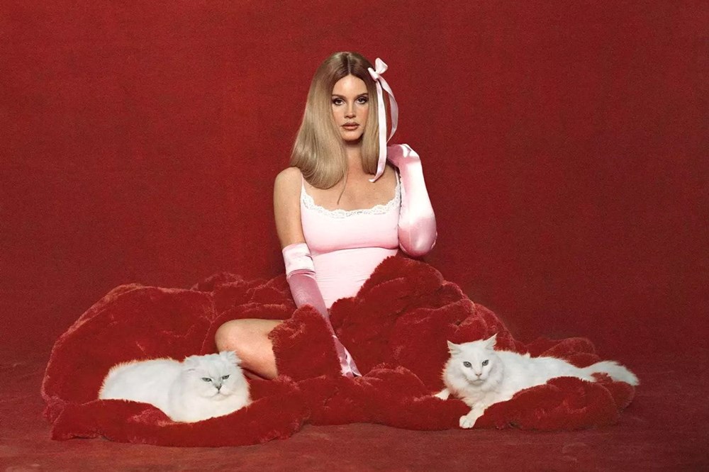 Kim Kardashian'ın yeni gözdesi: Şarkıcı Lana Del Rey - 4