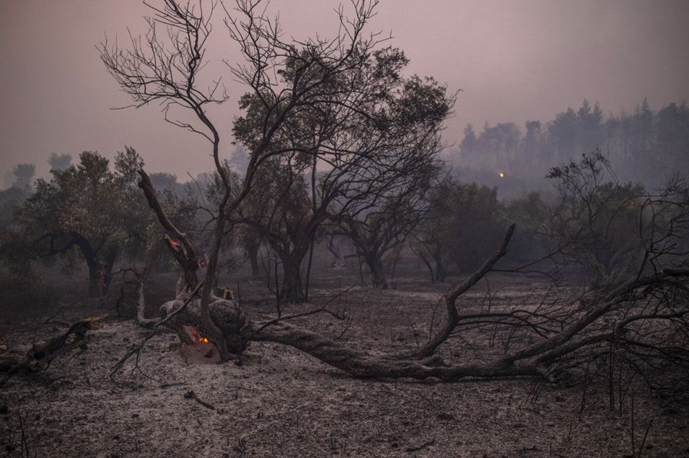 Yunanistan'da orman yangınlarıyla mücadele: Evia adasında onlarca ev ve iş yeri kül oldu - 24
