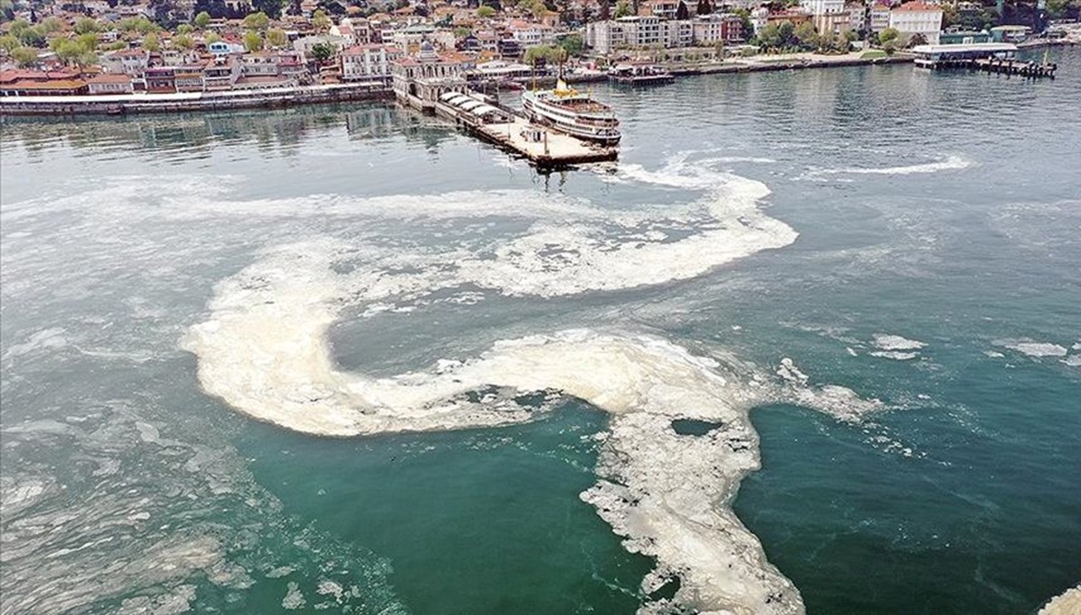 Kış ortasında 23 derece! Marmara'da müsilaj tehlikesi Kış ortasında 23 derece! Marmara'da müsilaj tehlikesi