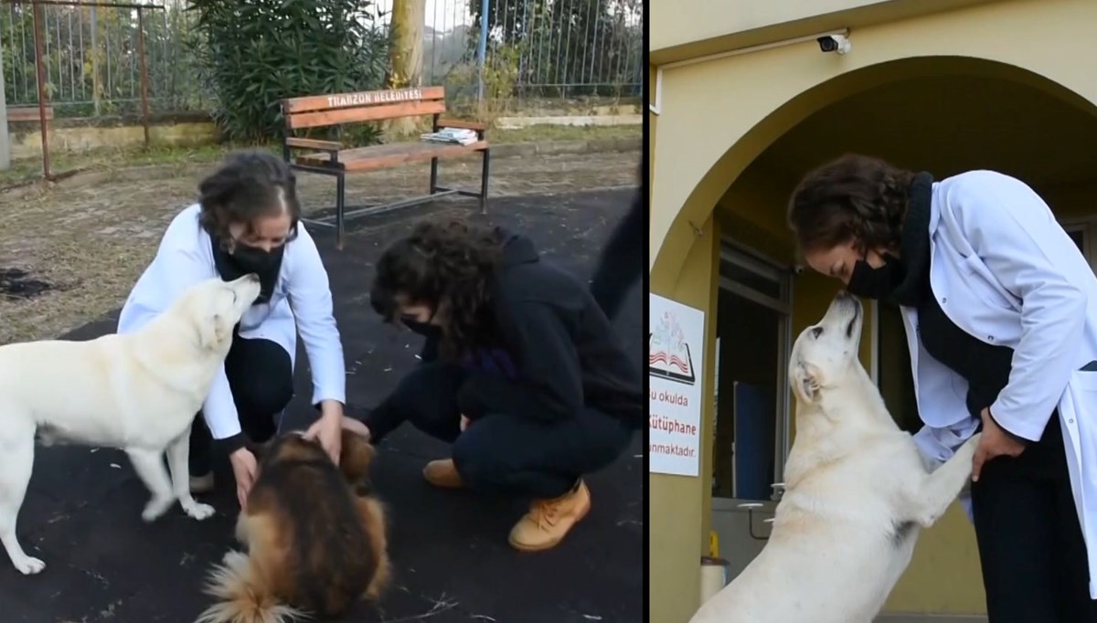 Müzik öğretmeni öğrencileriyle sahipsiz canlara destek oluyor