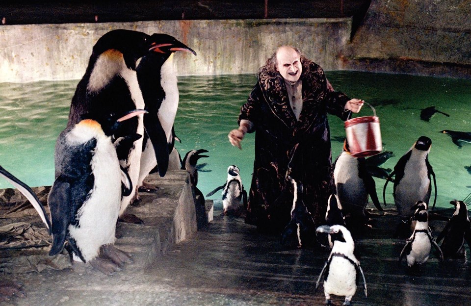 Danny DeVito "The Penguin" rolüne geri dönmeye yeşil ışık yaktı - 1