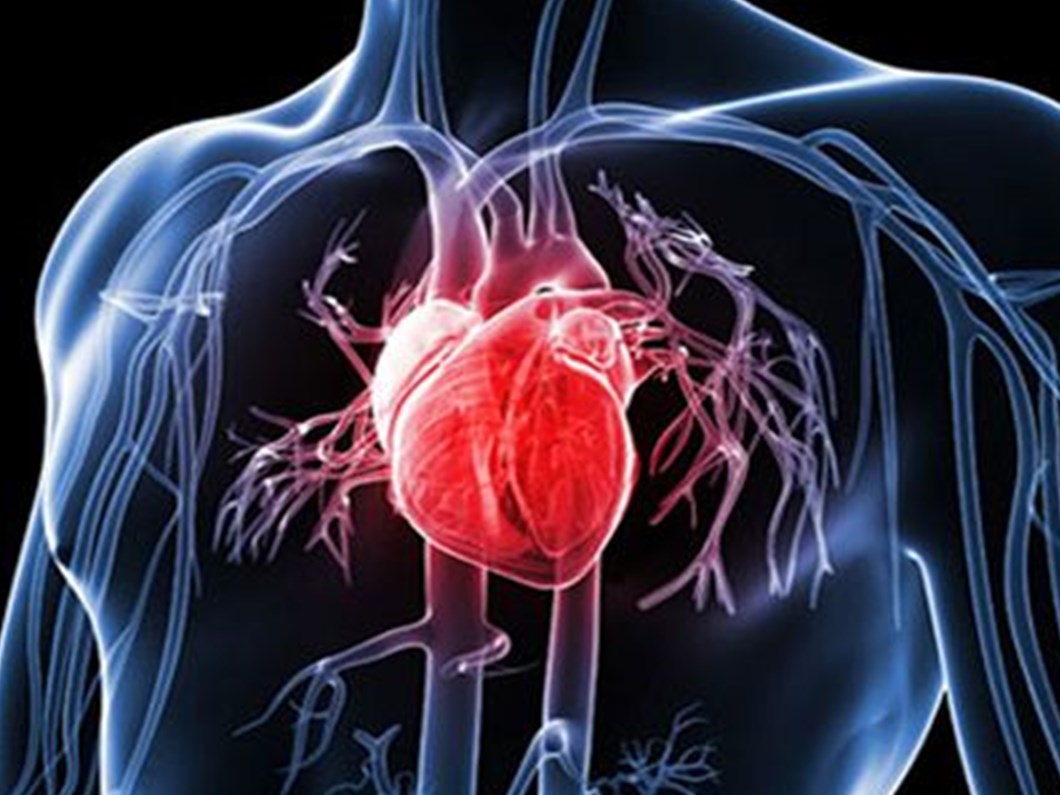 Mitral Kapak Ameliyatlarinda Kisiye Ozel Tedavi Onemli Saglik Haberleri Ntv