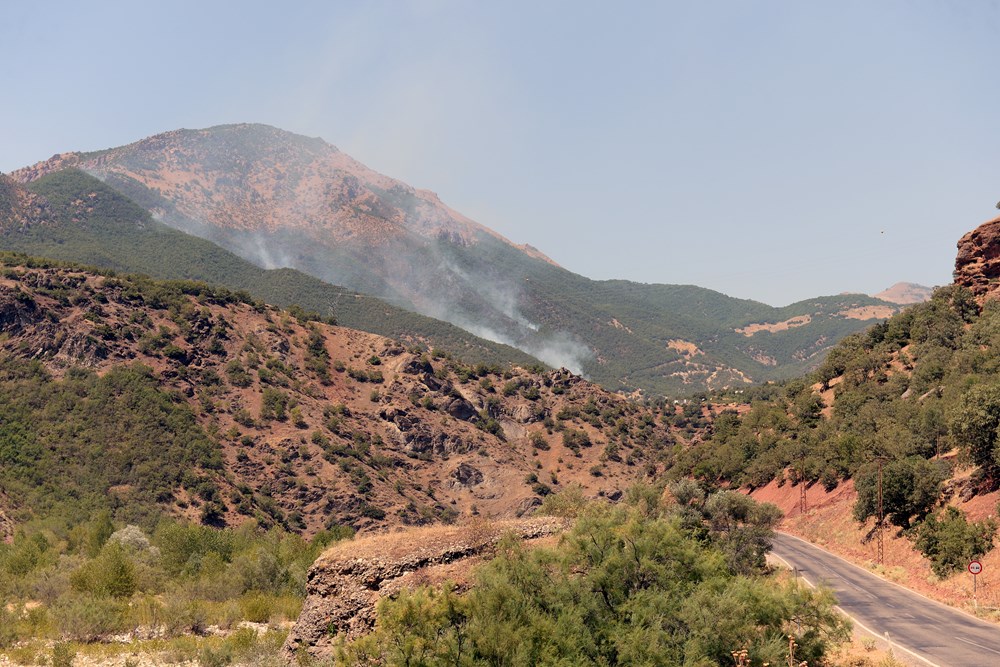 Tunceli'deki orman yangınları sürüyor | NTV