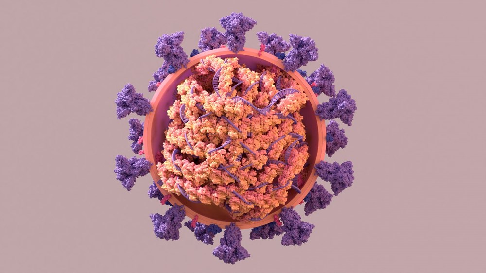 T hücrelerini hedefleyen ilk corona virüs aşısının sonuçları paylaşıldı: BioNTech/Pfizer'den 3,5 kat daha etkili - 9
