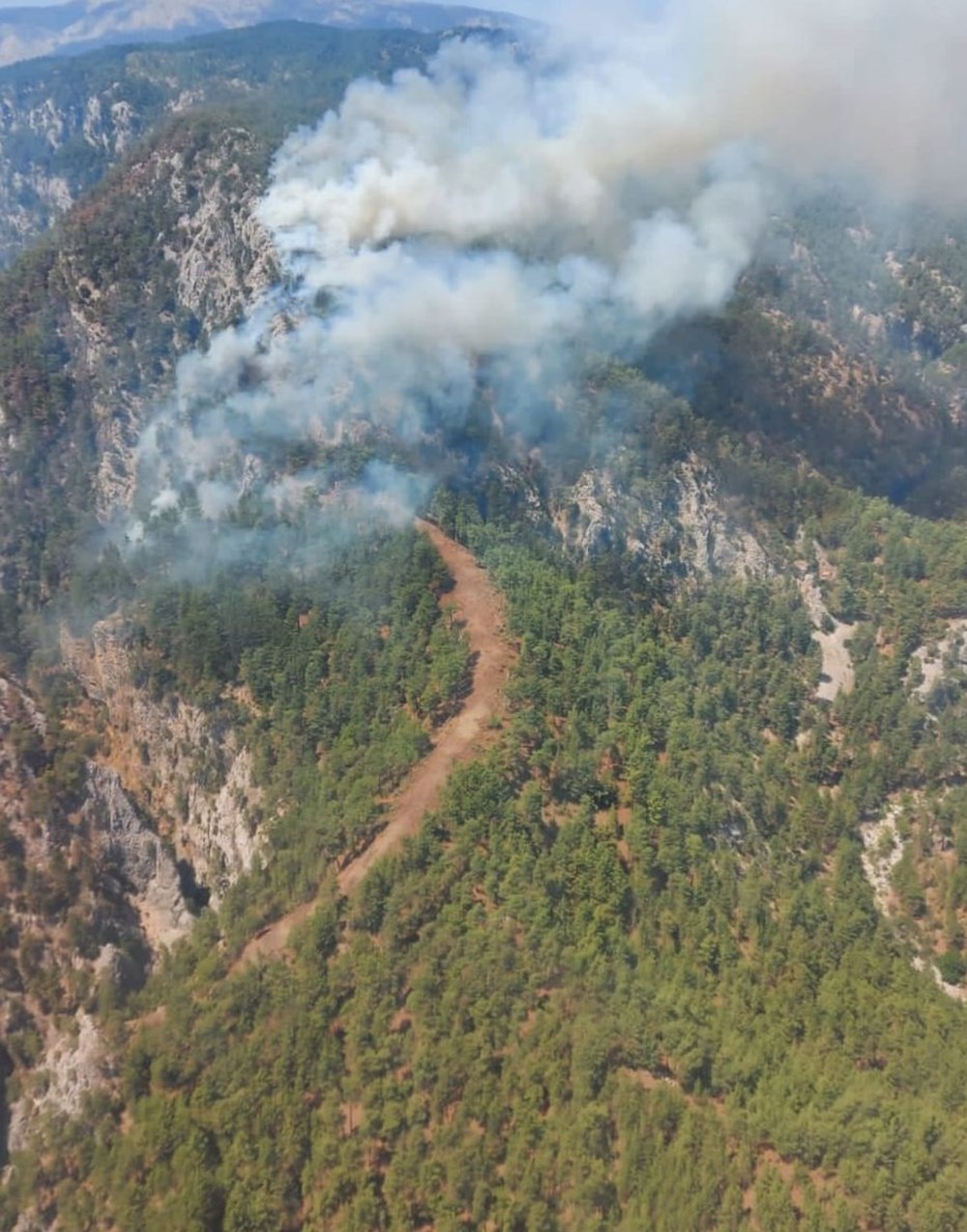 Muğla Köyceğiz'de orman yangını - 2