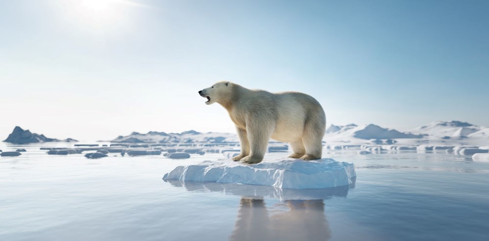 Antarktika’da buzullar hızla eriyor:  Deniz seviyesi 5 metre kadar yükselebilir - 8