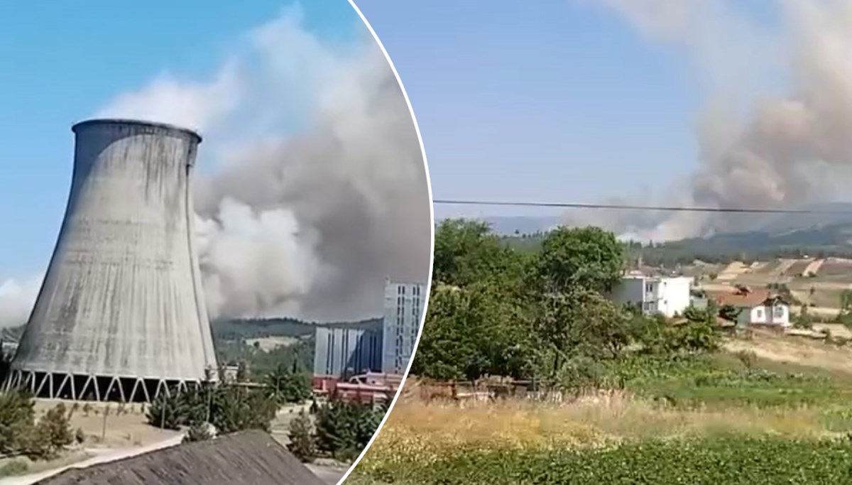 Bursa'da orman yangını