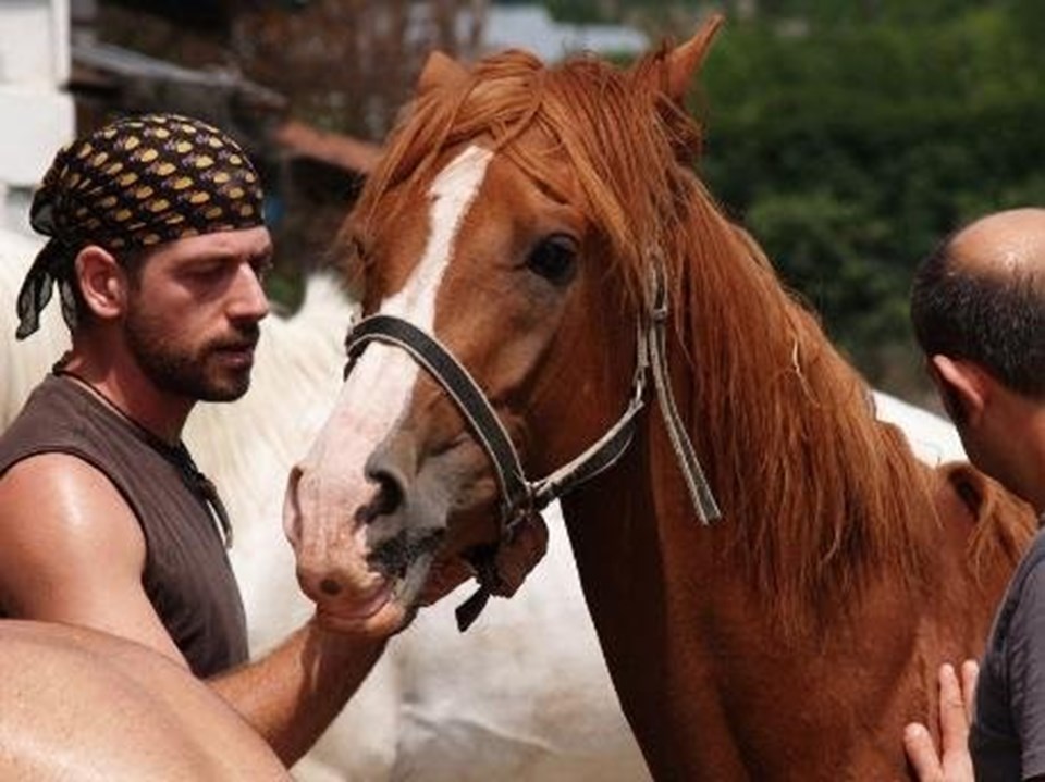 At kazasında Cemal Hünal'ın ifadesi alındı - 1