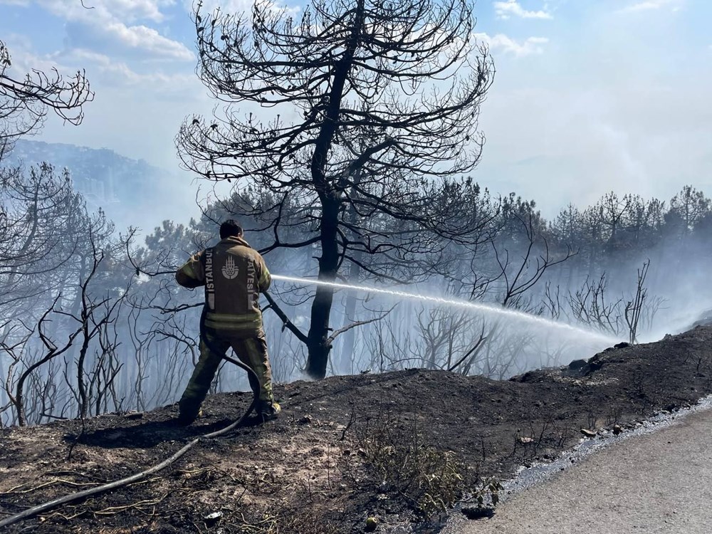 İstanbul Maltepe'de orman yangını - 15