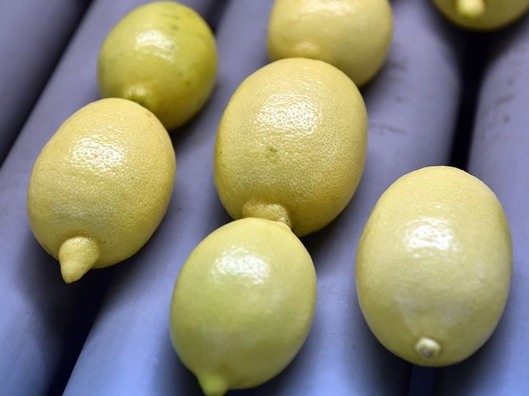 Limon Ihracatina Yasak Mi Geliyor Salgin Sonrasi Kilosu 20 Tl Ye Cikti Ntv