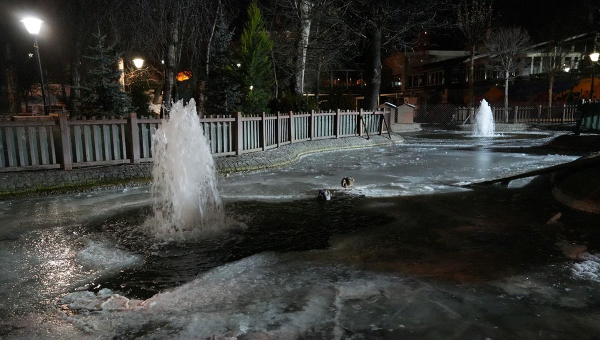 Ankara'da eksi 10 derecede Kuğulu Park'ın havuzu dondu