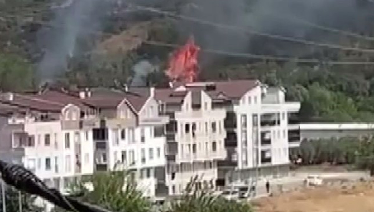 Çöp için yakılan ateş ormana sıçradı Çöp için yakılan ateş ormana sıçradı